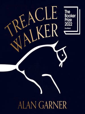 cover image of Treacle Walker